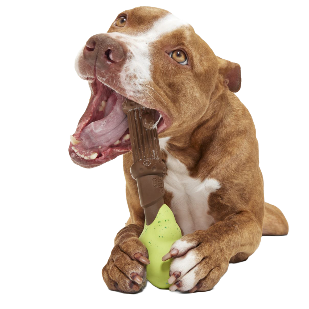 HARRY POTTER™ Super Chewer Durable Multi-Part + Fetch Dog Toy Bundle